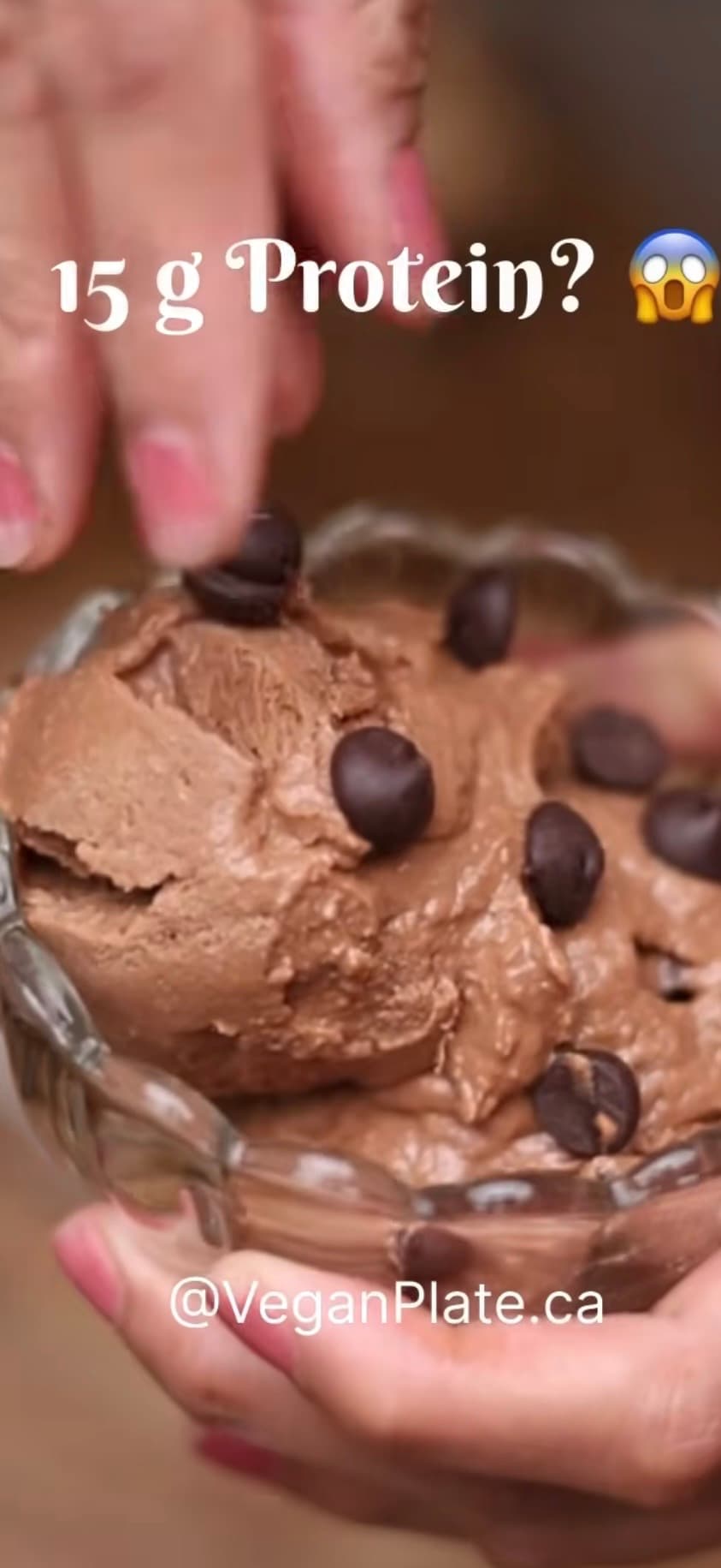 Vegan Chocolate Ice Cream